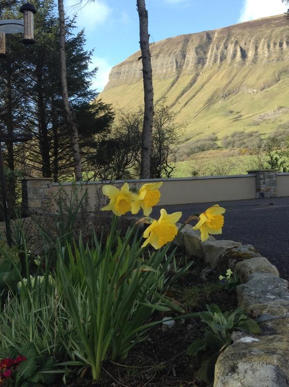 Benbulben Farmhouse B&B Drumcliff Exteriér fotografie